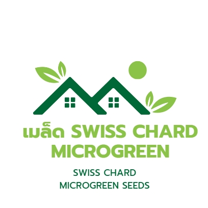เมล็ด Swiss Chard Microgreen